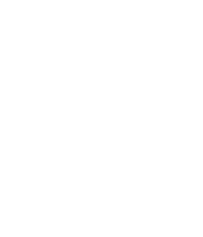 Shaw Armanent